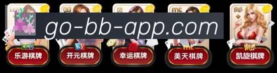 未来规划